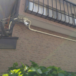 防犯カメラ2階から周辺